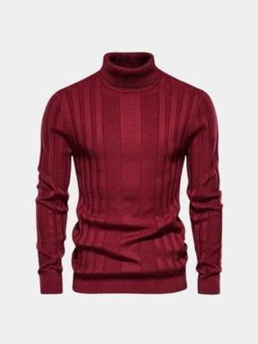 Turtleneck Knitwear Pullover Sweater — North Row | Full Length